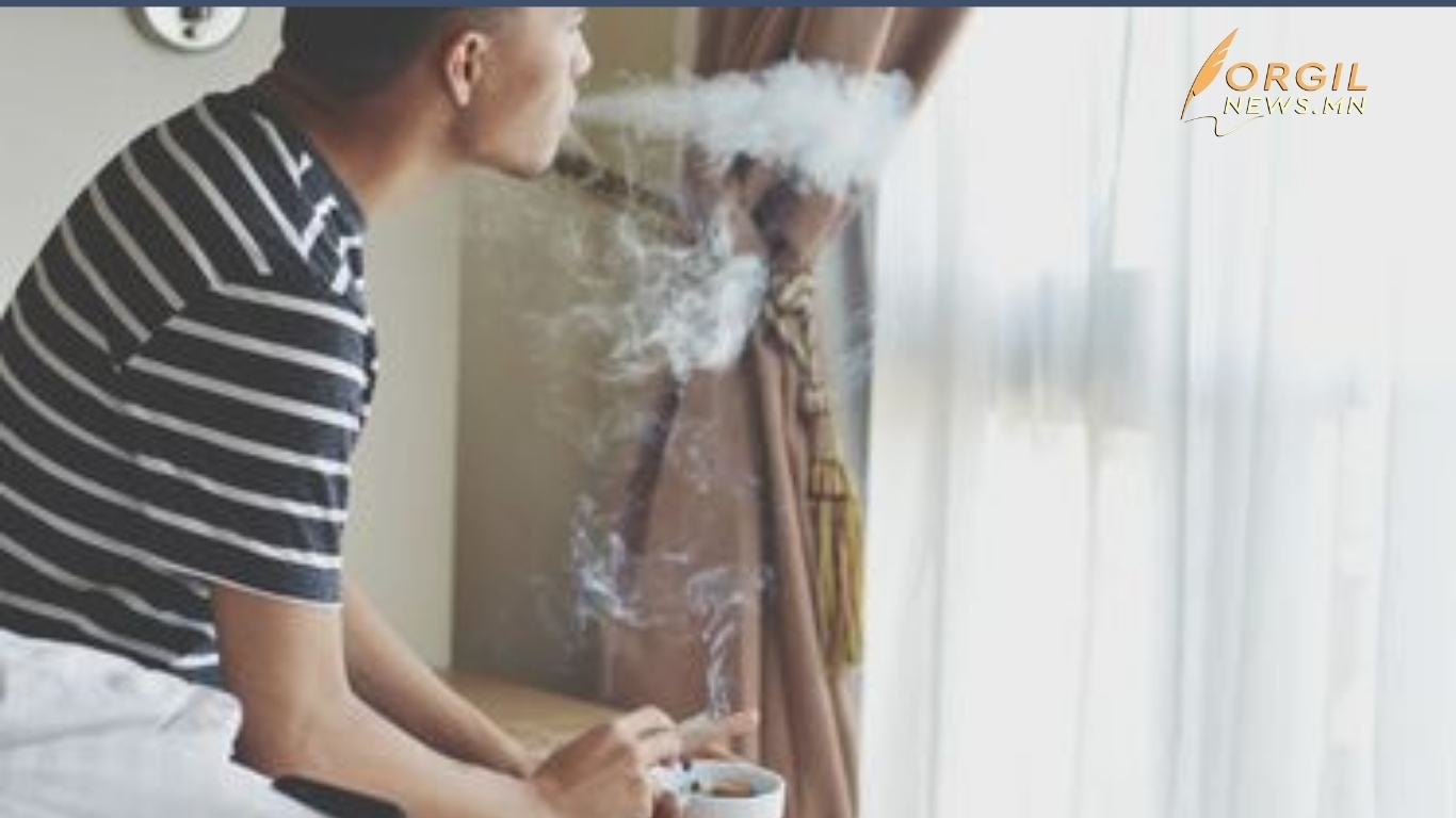 НЭМҮТ: Гэртээ тамхи татахгүй байх нь угаарын хийн хордлогоос сэргийлнэ