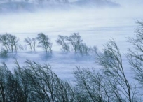 Энэ сарын 11-нээс ихэнх нутгаар хүйтний эрч чангарахыг анхааруулж байна