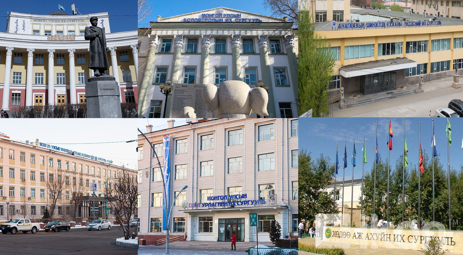 Засгийн газар төрийн өмчит их, дээд сургууль болон МСҮТ-ийн зарим байгууллагын талаар авах арга хэмжээний тухай хэлэлцэнэ