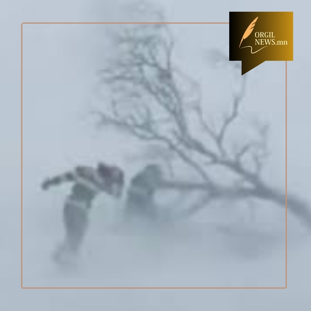 Цасан шуурганд төөрсөн гурван иргэний нэгийг амиа алдсан байдалтай байхад нь олжээ